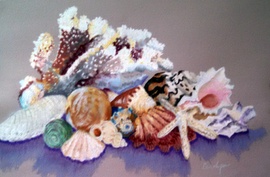 Pastel Seashells