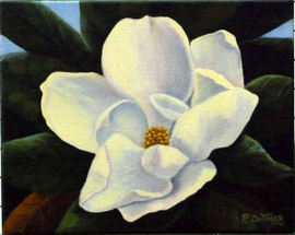 Magnolia Grandiflora - Oil