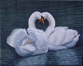 Swan Sweethearts - Oil